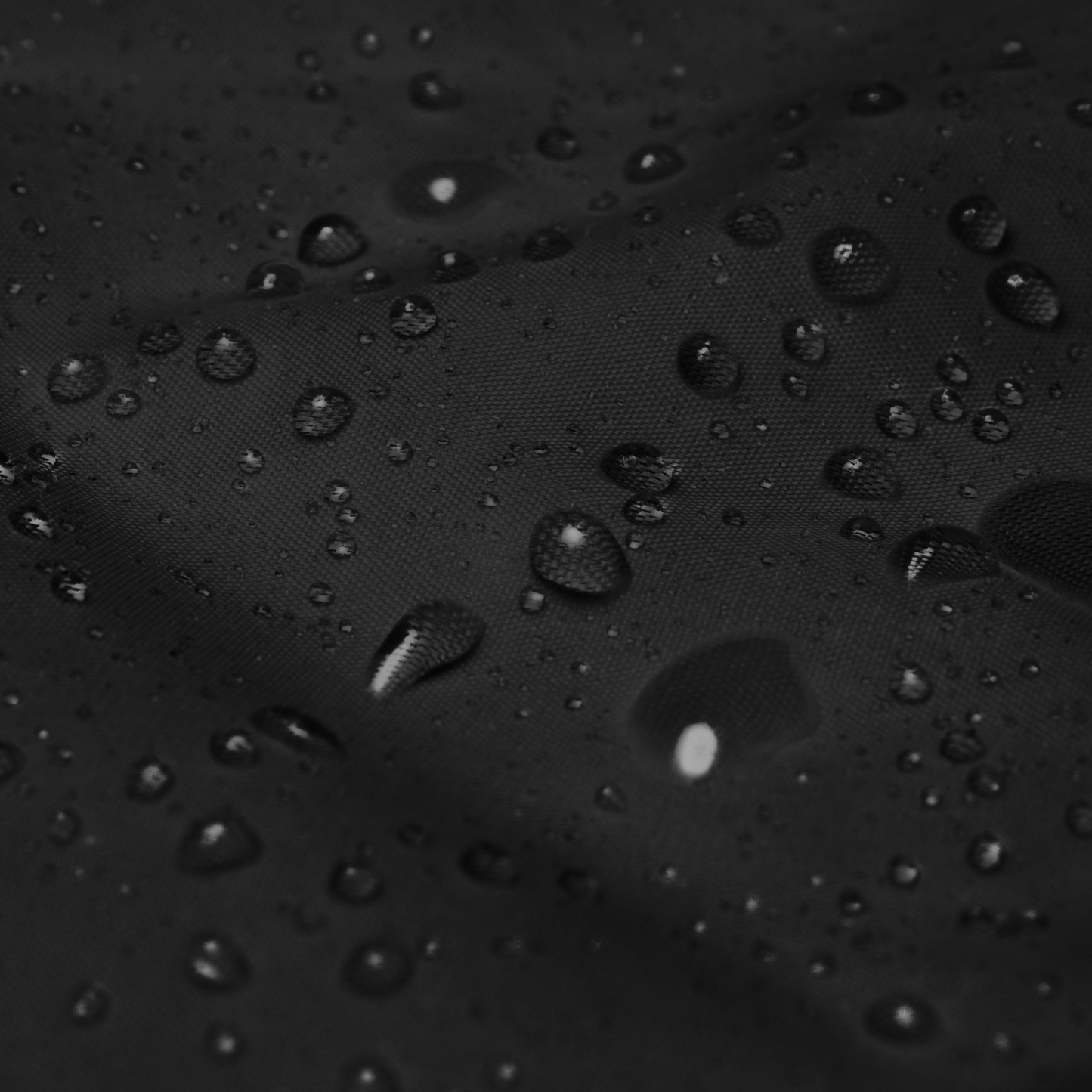 The Vanguard Windbreaker